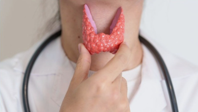 [О. Ковган] Щитовидная железа. Новое в терапии. Оп_0.png